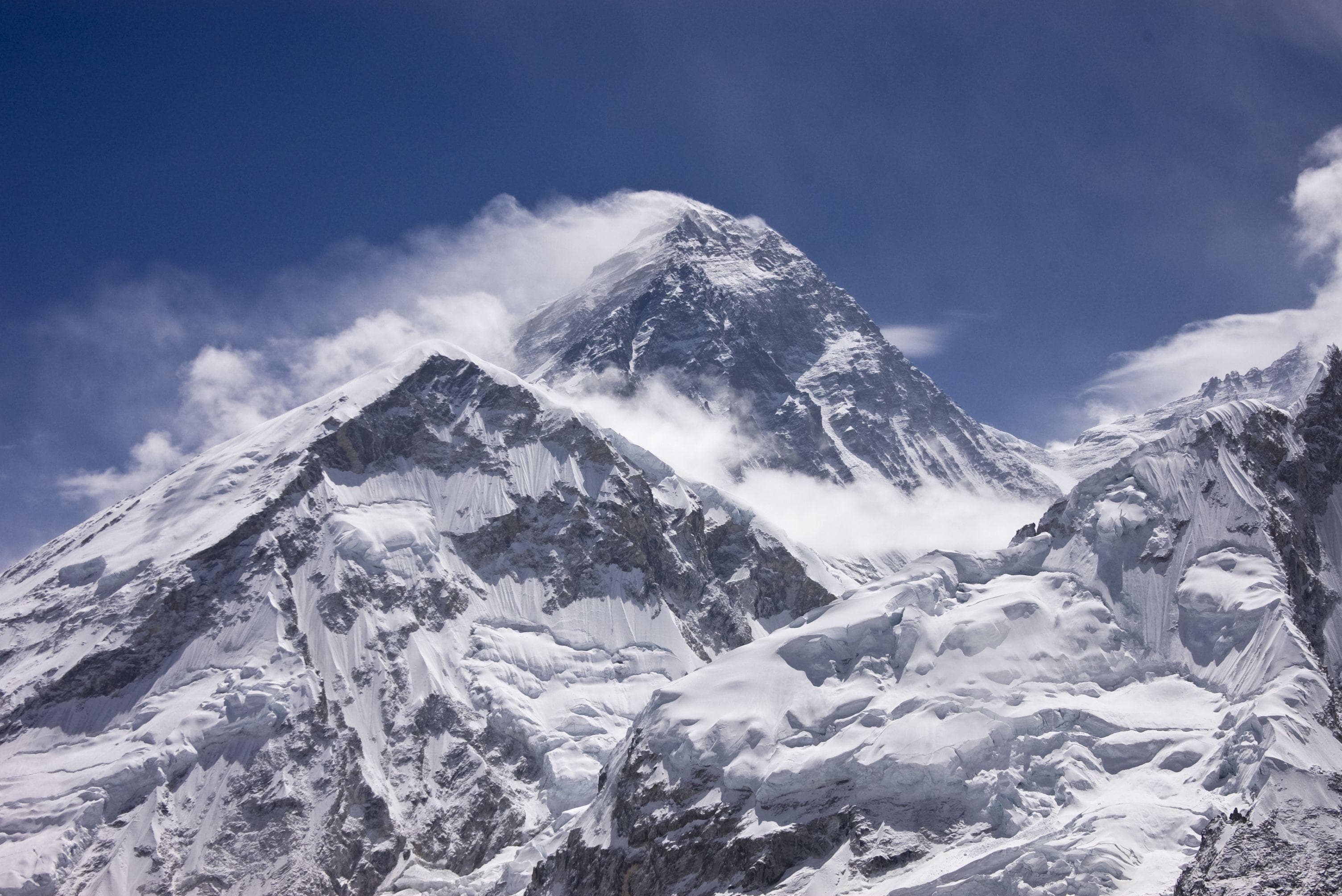 himalayan